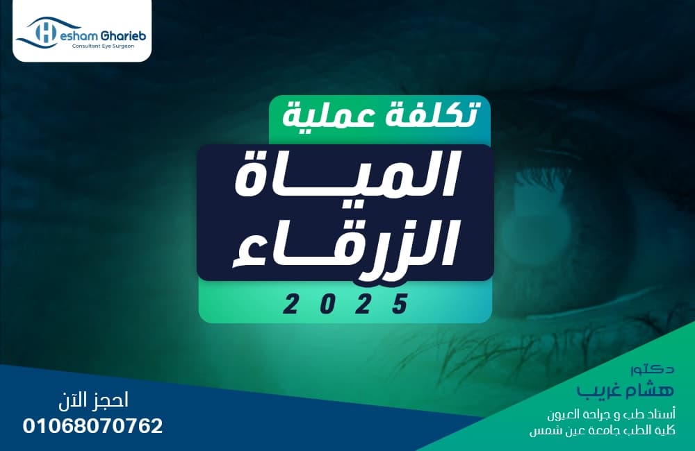 تكلفة عملية المياه الزرقاء 2025