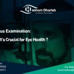 Fundus Examination in Egypt : Why It’s Crucial for Eye Health
