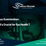 fundus examination